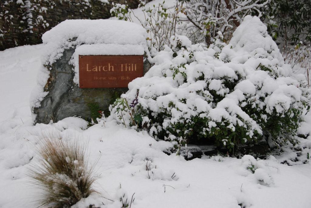 Larch Hill Bed & Breakfast Queenstown Buitenkant foto
