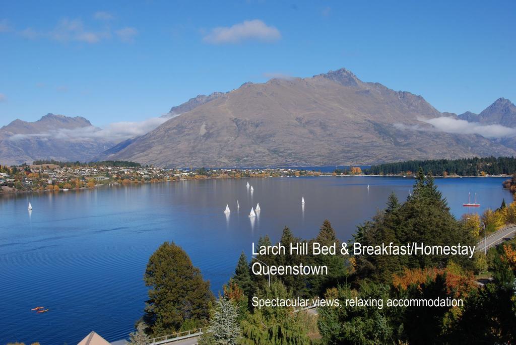 Larch Hill Bed & Breakfast Queenstown Buitenkant foto