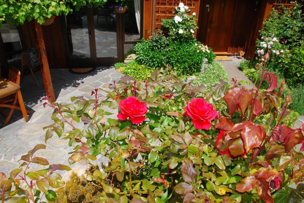 Larch Hill Bed & Breakfast Queenstown Buitenkant foto